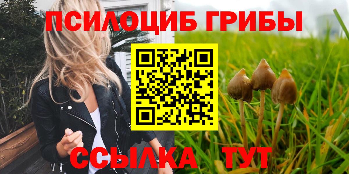 Псилоцибиновые грибы прущие грибы  Вход с VPN  Белово 